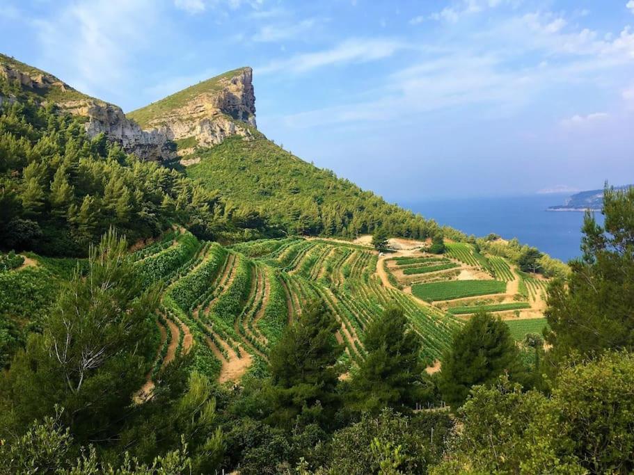 Click! Omg Views! 2-4-6-8pers The Secret Provence Gem